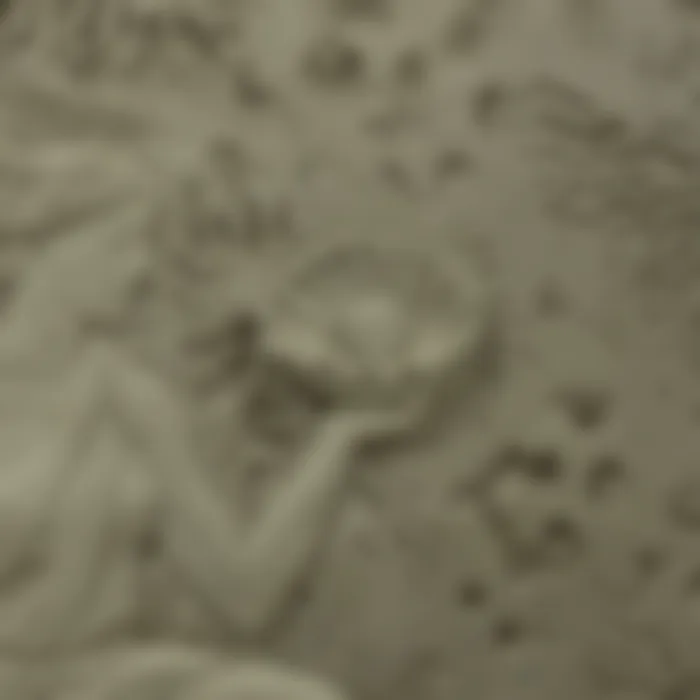 Detalle desenfocado de un relieve con una concha y una perla